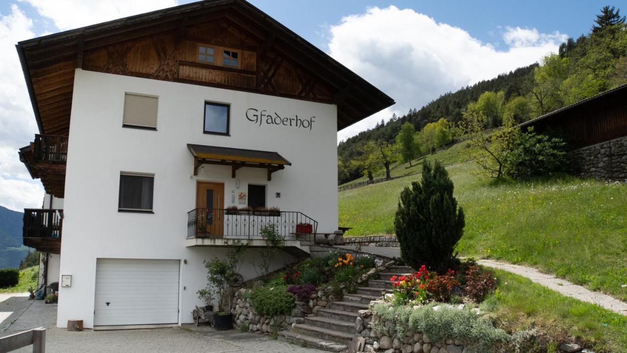 Agriturismo Gfaderhof 브레싸노네 외부 사진